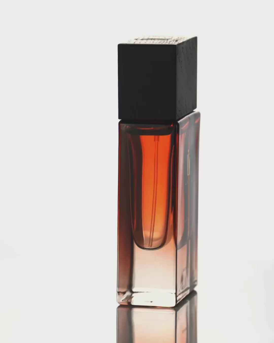 PARADOX  | DUALITY CRAFTED INTO PERFUME
